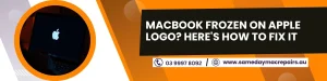 MacBook Frozen on Apple Logo
